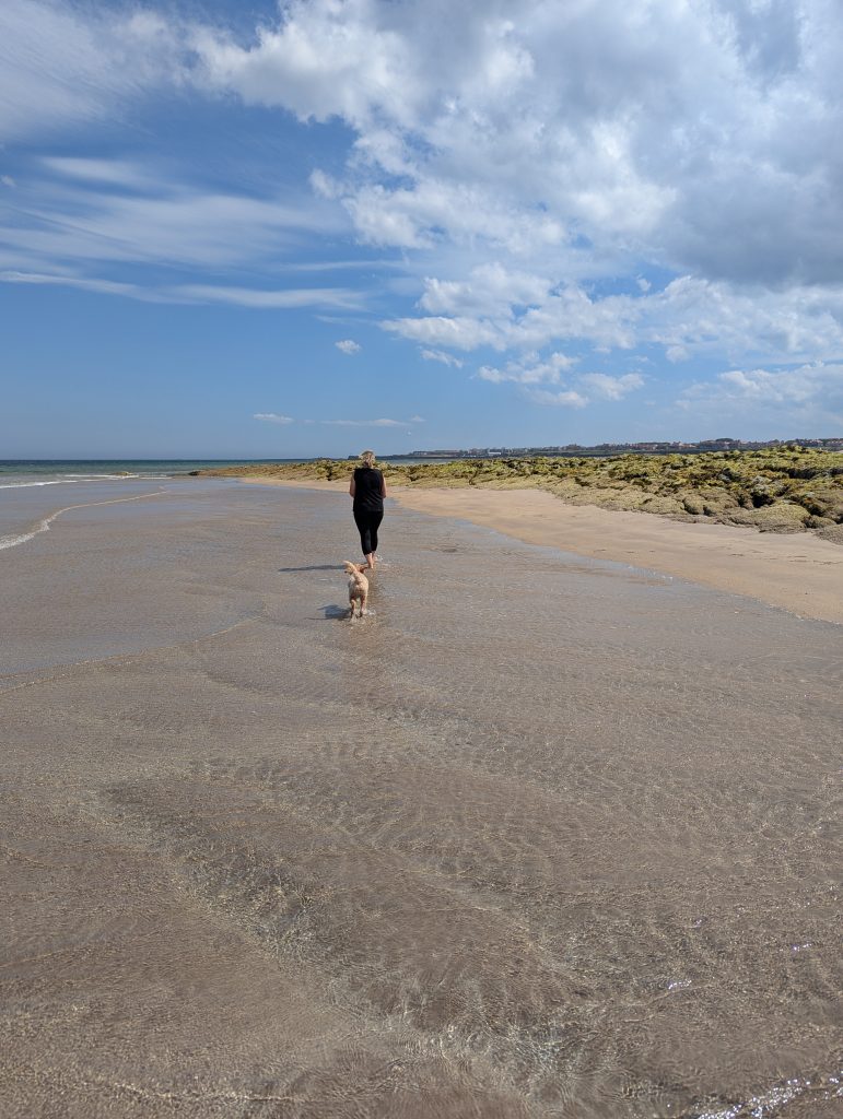 PXL_20250630_133041439